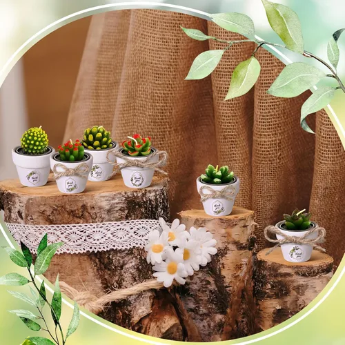Vista 6 de MTLEE Maceta de velas de cactus, 18 velas de cera de parafina para suculentas con mini macetas de arcilla de terracota blanca, para recuerdos