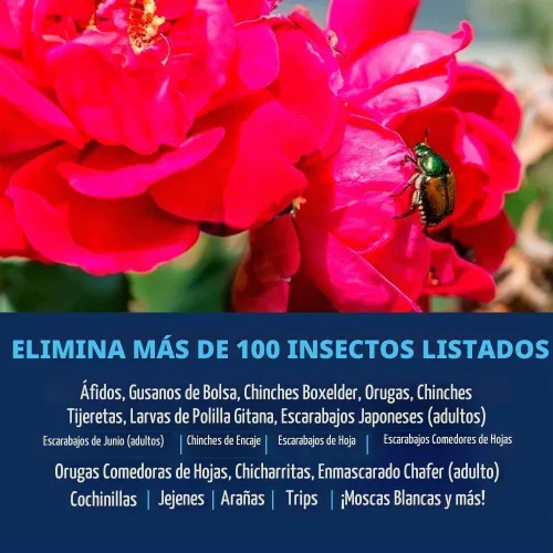 Vista 2 de BioAdvanced Spray asesino de insectos Rose & Flower - Botella de 24 oz