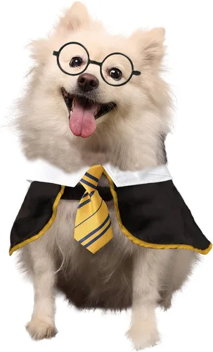 Vista 5 de Disfraz Coomour de bruja, para perro, gato, cachorro, ropa para perros pequeños, medianos, grandes, camisa con gafas