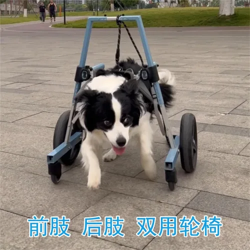 Vista 2 de Front Leg Dog Wheelchair, with 4 Wheels, Supportive Mobility Aid, for Indoor, Outdoor Use, Assist Walking for Disabled/Injured Pets, Ready to