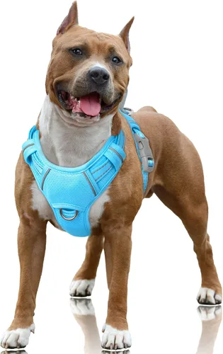 Vista 89 de BARKBAY Arnés para Perro Sin Tirones Talla Grande Arnés Reflectante para Perro con Clip Frontal y Asa de Control Fácil para Caminar Entrenar Correr