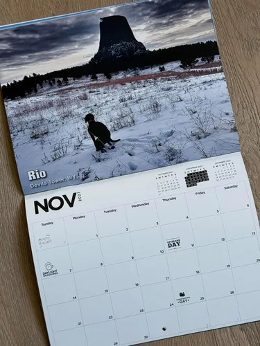 Vista 2 de Calendario de regalo de broma de elefante blanco Pooping Pooches