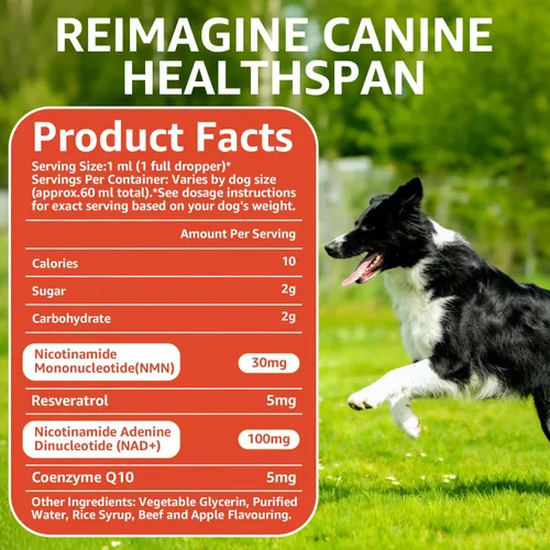 Vista 3 de Suplemento de longevidad para perros NAD+ y NMN, liposomal NAD nicotinamida ribósido resveratrol, salud de las articulaciones, vitalidad