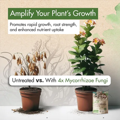 Vista 2 de Micorrizas 4X de 4 onzas para plantas – Inoculante de micorrizas – Potenciador de raíces y Myco concentrado, micorrizal superior para plantas, polvo