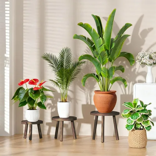 Vista 2 de Paquete de 3 soportes para plantas de interior y exterior, estilo moderno de mediados del siglo, taburete para plantas de madera, porta macetas