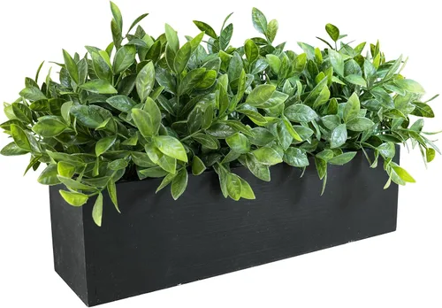 Vista 4 de Winlyn Planta de boj artificial de 14 pulgadas, arreglo de vegetación de boj sintético en negro, maceta rectangular de madera en maceta, planta