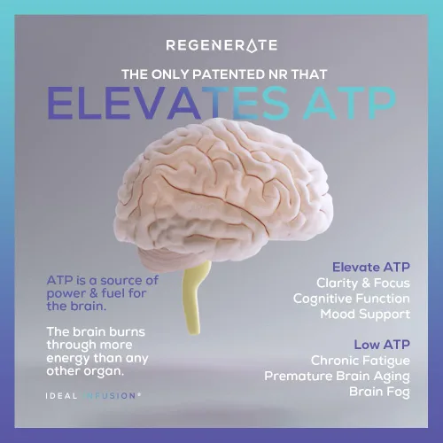 Vista 7 de Regenerate Suplemento de liberación sostenida para la biosíntesis de NAD y NR, aumenta el ATP, eleva el NAD +, aumenta el glutatión: salud