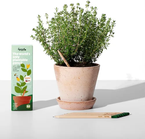 Vista 2 de Sprout Lápices de madera World Edición para profesores Lápices de madera plantables de grafito preafilados HB con semillas de flores, hierbas