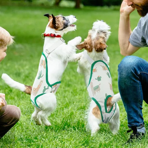 Vista 2 de QBLEEV Pañales para perras para hembra, lavables, sanitarios, con tirantes ajustables, pañales reutilizables para perros machos en celo, lindas Verde