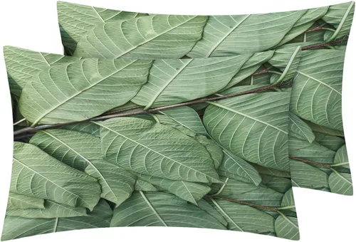 Vista 2 de NOGAWA Sábanas de hojas verdes, tamaño individual, sábanas de plantas tropicales, sábanas y fundas de almohada estampadas de 3 piezas, sábana bajera