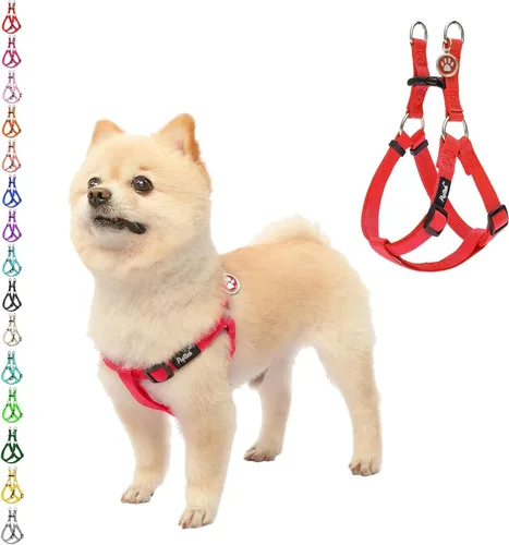 Vista 17 de Pupteck - Arnés para perros sin jalar, suave, ajustable, de nailon, talla básica, chaleco para cachorro, para caminar al aire libre con etiqueta