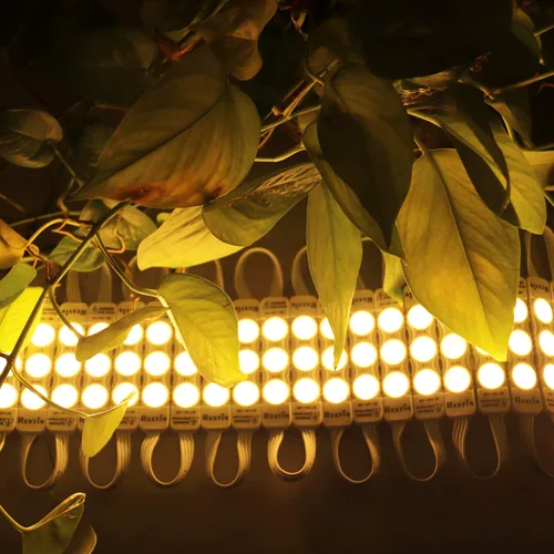 Vista 8 de Super brillante 110V 100pcs nuevo modelo 2835 3 LED módulo blanco cálido 120-150LM por módulo impermeable luz decorativa para letreros de letras
