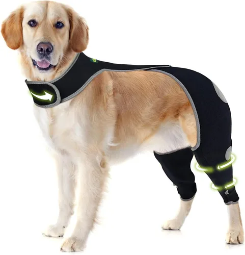 Vista 11 de Codera para perro para codo canino y hombro, displasia, osteoartritis, callos de codo, úlceras por presión, coderas de perro para una mejor