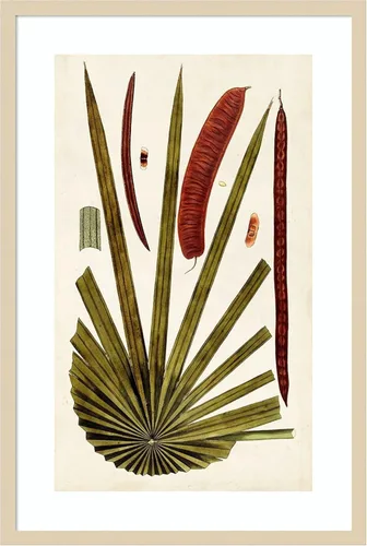 Vista 16 de Amanti Art Vision Studio - Lienzo decorativo para pared, 24 x 17 pulgadas, variedades de hojas VI por Vision Studio, arte de pared de naturaleza