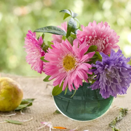Vista 7 de Shihanee 12 bolas redondas de espuma floral en bloque de espuma floral húmedo y seco, bolas de espuma de flores verdes para flores artificiales