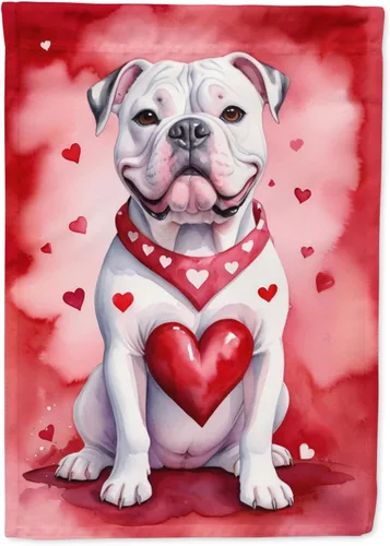 Vista 196 de Caroline's Treasures DAC5252GF Affenpinscher - Bandera de jardín con texto en inglés "My Valentine", bandera decorativa para patio exterior, patio