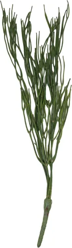 Vista 2 de Ebros Gift Paquete de 6 plantas suculentas largas y realistas con tallos de hojas suaves y realistas de 26 pulgadas de largo, plantas suculentas
