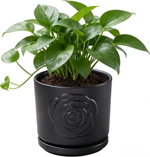 Vista 13 de Ekirlin - Macetas de 7 pulgadas para plantas, macetas de cerámica para flores en interiores, contenedores modernos de suculentas con plato