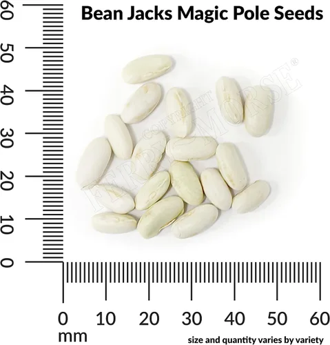 Vista 4 de Ferry-Morse Edición Online Bean Jack's Magic Pole Seed Multipack - Paquete de 7 (exclusivo de Fery-Morse)