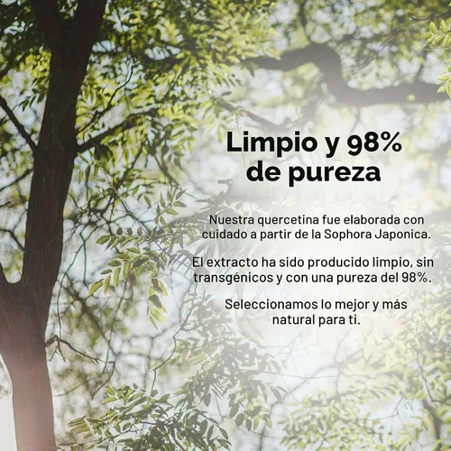 Vista 3 de Samsara Herbs Quercetina - 98%+ Extracto puro en polvo (2oz/57g)