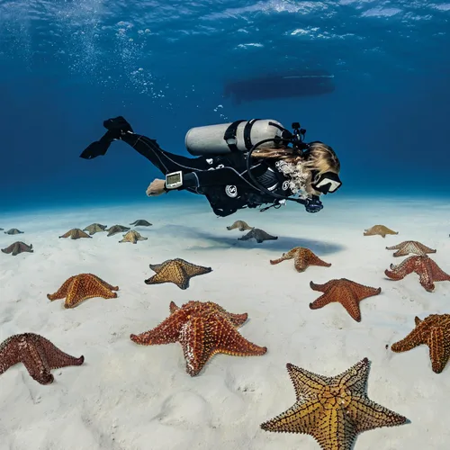 Vista 3 de SCUBAPRO Seawing Nova Aletas de Buceo