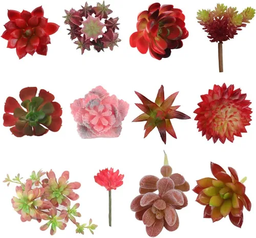 Vista 10 de Zhiheng Plantas suculentas artificiales surtidas (mutil)