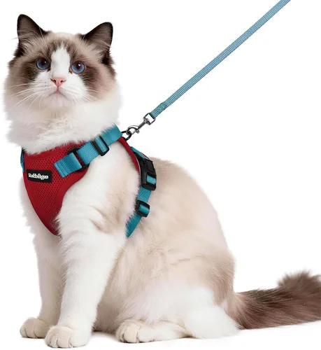 Vista 85 de rabbitgoo Cat Harness and Leash Set, Escape Proof Vest, XXS, Berry Pounce Soft Breathable Mesh, No-choke Adjustable Fit, Snap Buckles, Sturdy
