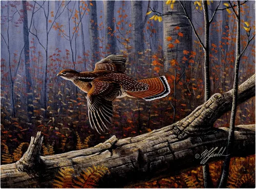 Vista 7 de Planeador Windfall Ruffed Grouse de Wilhelm Goebel, 14x19 pulgadas