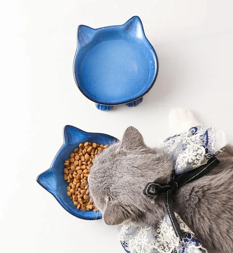 Vista 6 de Nihow Ceramic Basic Cat Bowls: cuenco para gatos de 5 pulgadas para alimentos y agua Food Grade Cat Dish for Small-Sized Cat - Microwave &