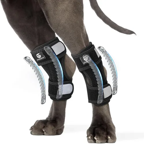 Vista 9 de Tobillera corta de pierna trasera para perro, 1 par
