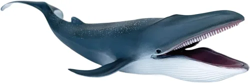 Vista 2 de Figura de acción de tiburón ballena azul, figura de tiburón de vida marina, animal marino realista, ideal para juguetes de baño, juguete de playa