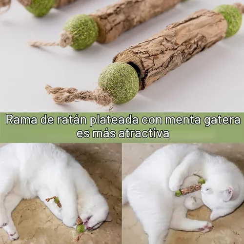 Vista 3 de Silvervine Sticks - Juguetes de hierba gatera para gatos, paquete de 3, juguete interactivo para gatos de interior para limpieza de dientes