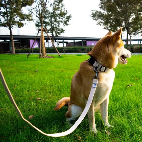 Vista 5 de Collar de perro beige para perros pequeños, transpirable, antiolor y suave, cómodo para cachorros de piel sensible, 90% rayón de bambú, collar