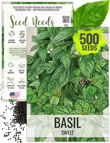 Vista 10 de Seed Needs Semillas de albahaca italiana para plantar hierbas tradicionales sin OMG, 1 paquete