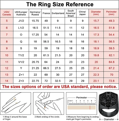 Vista 5 de FaithHeart Anubis - Anillos para hombres y mujeres, joyería de acero inoxidable resistente, anillo de amuleto de cruz Ankh, embalaje delicado, Acero