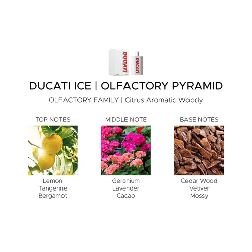 Vista 4 de Ducati Ice by Ducati - Fragancia para hombres - Aroma aromático amaderado - Se abre con mandarina, limón y bergamota - Mezclado con lavanda y salvia