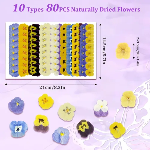 Vista 2 de 80PCS 10 Tipos de flores comestibles secas prensadas naturales secas flores