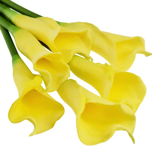 Vista 7 de FiveSeasonStuff Real Touch - Flores artificiales de lirio de cala, arreglos florales para bodas (25 pulgadas, 6 tallos largos, blanco primaveral)