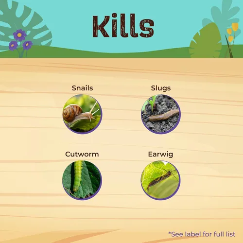Vista 3 de Bonide Capitán Jack's Bug & Slug Killer Gránulos, 1.5 lb. Protección de larga duración lista para usar, para jardinería orgánica