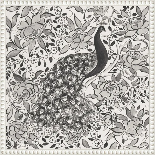 Vista 15 de Amanti Art Framed Canvas Wall Art 16x16 Peacock Garden III BW by Miranda Thomas, Framed Wall Art Canvas, Animals Artwork, Modern Decor, Small Poster
