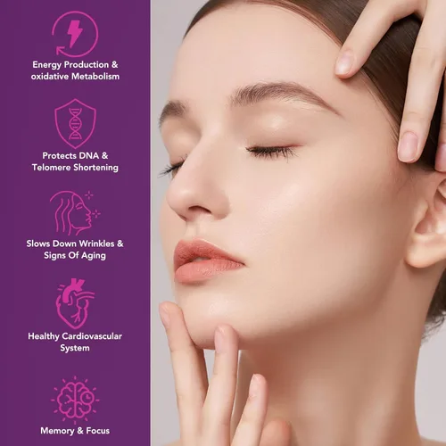 Vista 5 de Resveratrol 100% natural – 1480 mg por porción, 90 cápsulas vegetales, 99% puro Trans-Resveratrol, antioxidante para un envejecimiento saludable
