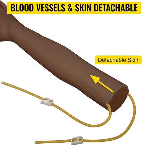 Vista 4 de Kit de práctica IV VEVOR Kit de práctica de flebotomía con piel oscura, kit de práctica de venopunción Kit de brazo modelo de aprendizaje