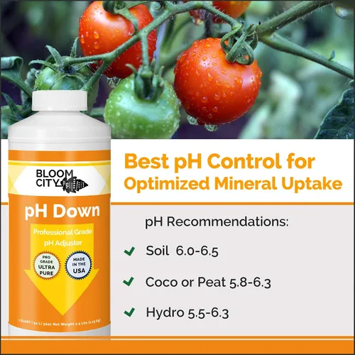 Vista 2 de Bloom City Fertilizante líquido pH Down profesional, 1/2 pinta (236 ml)