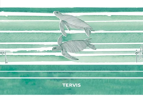 Vista 2 de Tervis Traveler Guy Harvey Freeswim Turtle - Vaso aislado de triple pared para viaje mantiene las bebidas frías y calientes, 20 onzas, acero Acero