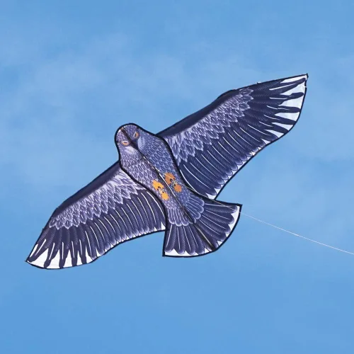 Vista 4 de Besra Cometa de pájaro fénix con cola larga, para deportes al aire libre, para playa y parque Águila de 74 pulgadas
