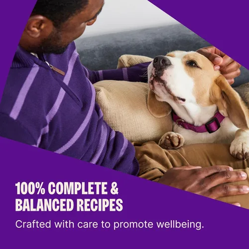 Vista 4 de Wellness Complete Health - Alimento seco para perros de raza grande con granos, ingredientes naturales, fabricado en Estados Unidos con carne real