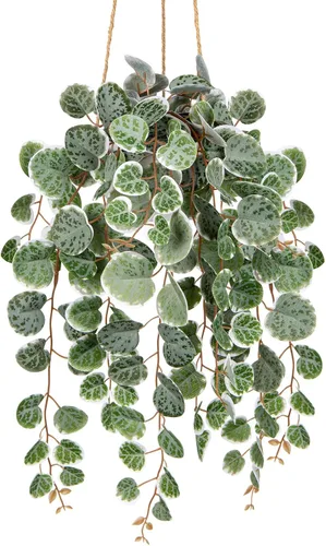 Vista 8 de Briful Plantas colgantes de imitación para interiores de 17 pulgadas, cadena artificial de corazón con semicírculo para montaje en pared, plantas