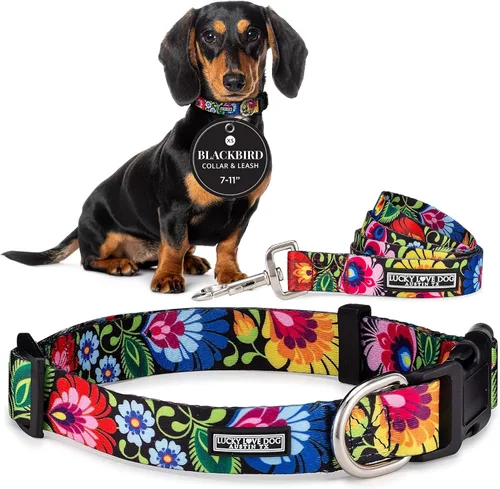 Vista 57 de Lucky Love Dog - Collar para perras pequeñas, diseño Blackbird de estampado alegre con flores de primavera y verano, talla XS Collar Blackbird