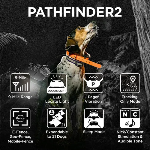 Vista 3 de Dogtra Pathfinder 2 Receptor adicional Perro GPS Tracker e Collar Luz LED Negro Sin tarifas mensuales Aplicación gratuita Impermeable Smartwatch