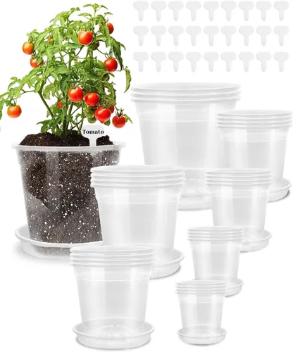 Vista 10 de Paquete de 10 macetas de orquídeas de 7 pulgadas, macetas de plástico más